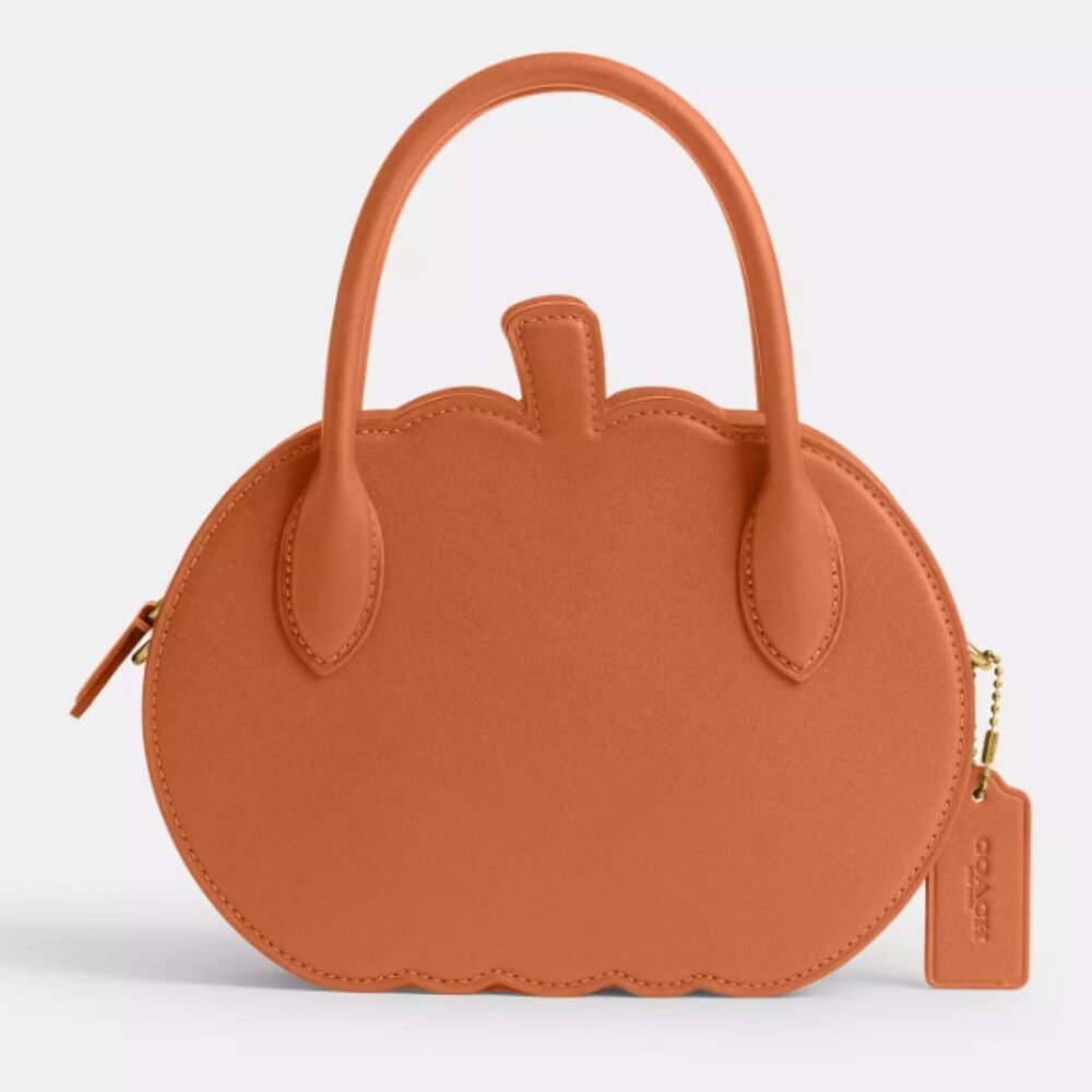 Coach Pumpkin Crossbody